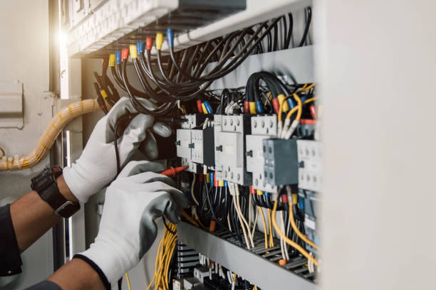 Best Electric Panel Repair  in Ore City, TX